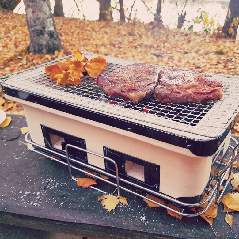 Hibachi Grills Buy an Authentic Japanese Charcoal Grill Opinion Point