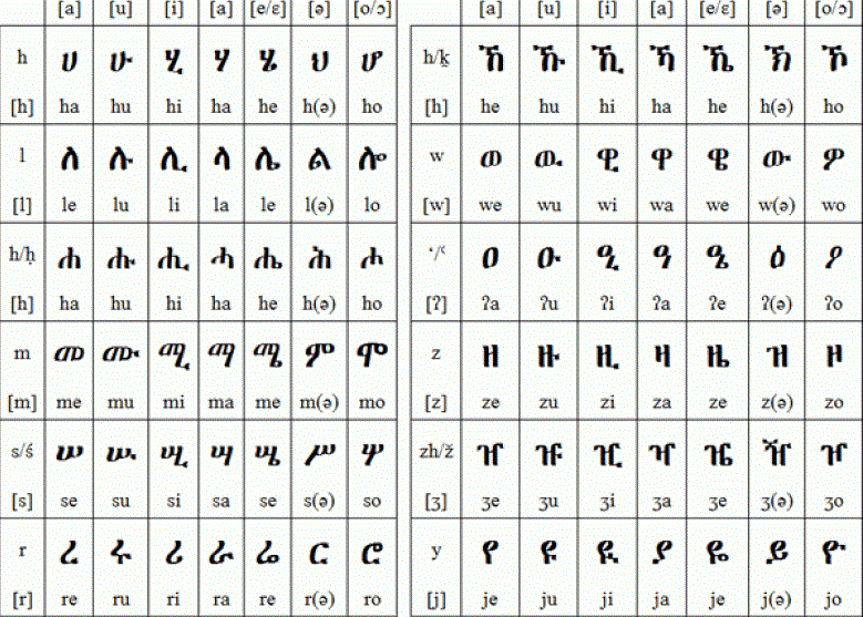 Amharic And Amarigna Language Oppidan Library