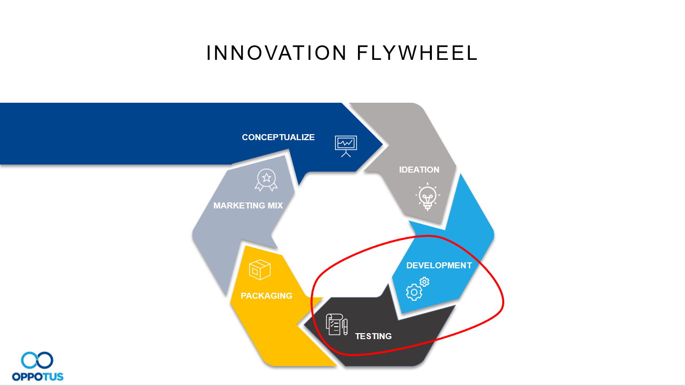 Top 6 Things to Look Out For in Product Testing Oppotus
