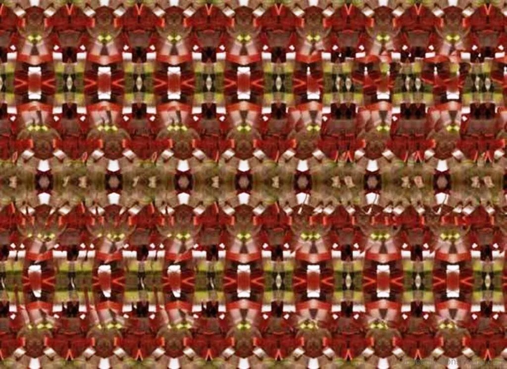 50 Nice Stereogram Illusion