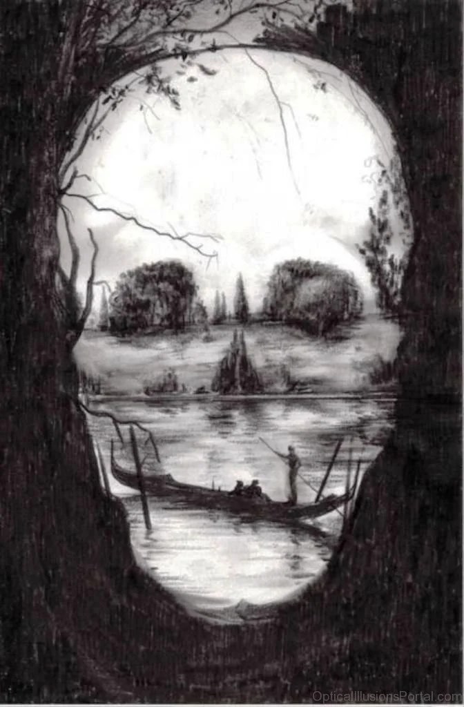 55 Cool Multiple Illusion