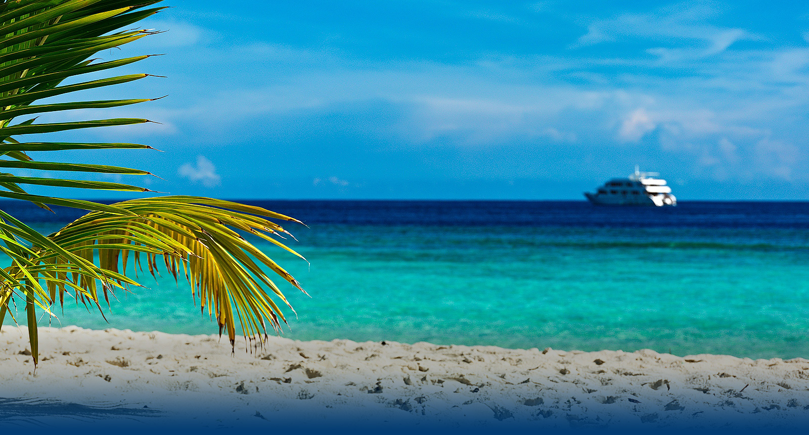 Windgate Listing Report