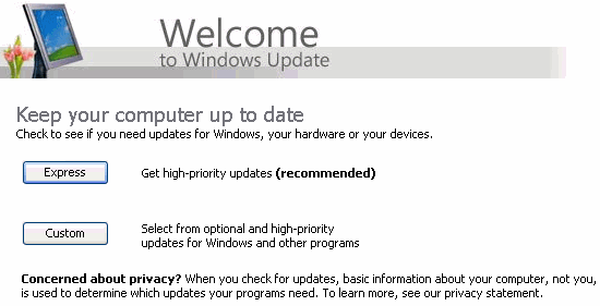 Windows Updates Updating High Priority Critical Optional Software And Hardware Updates