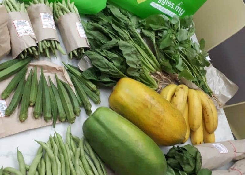 Where To Donate Fresh Vegetables Near Me