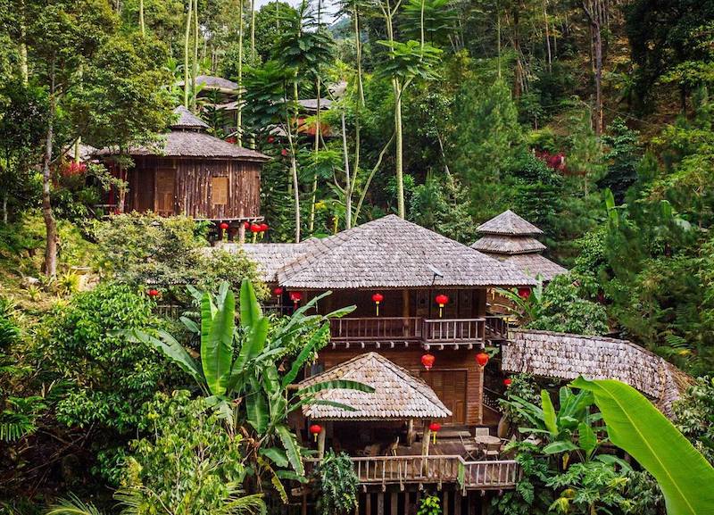 Fig Tree Hill in Penang offers dim sum and steamboat surrounded by