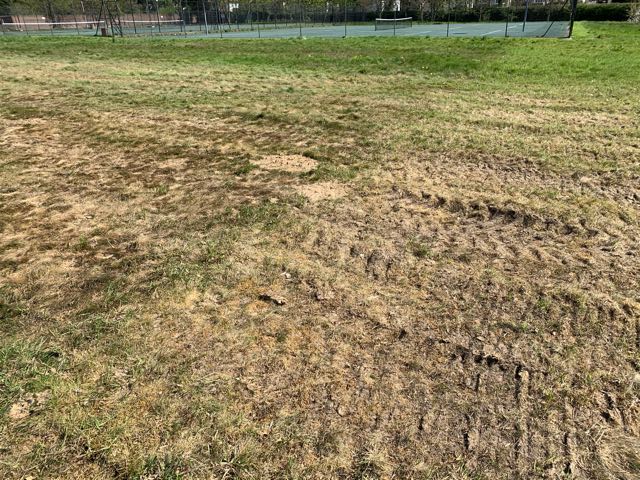 Asbestos Contaminated Land Surveys