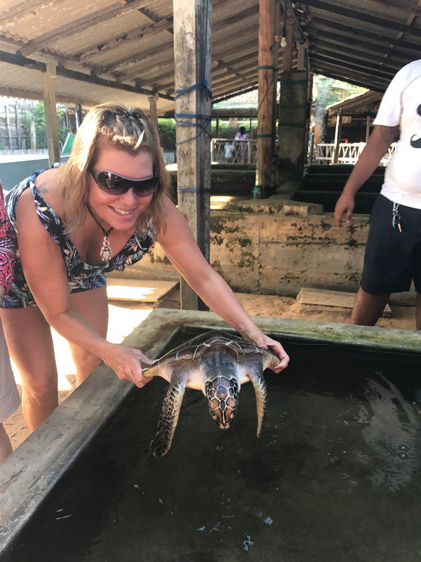 About Us Orange Beach Pet Sitting