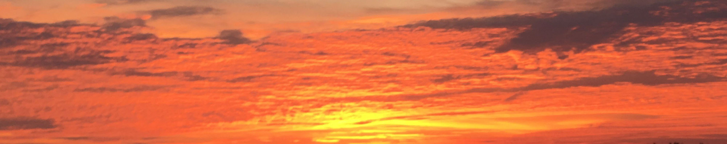 Orangevale Weather Extremes / Station Records