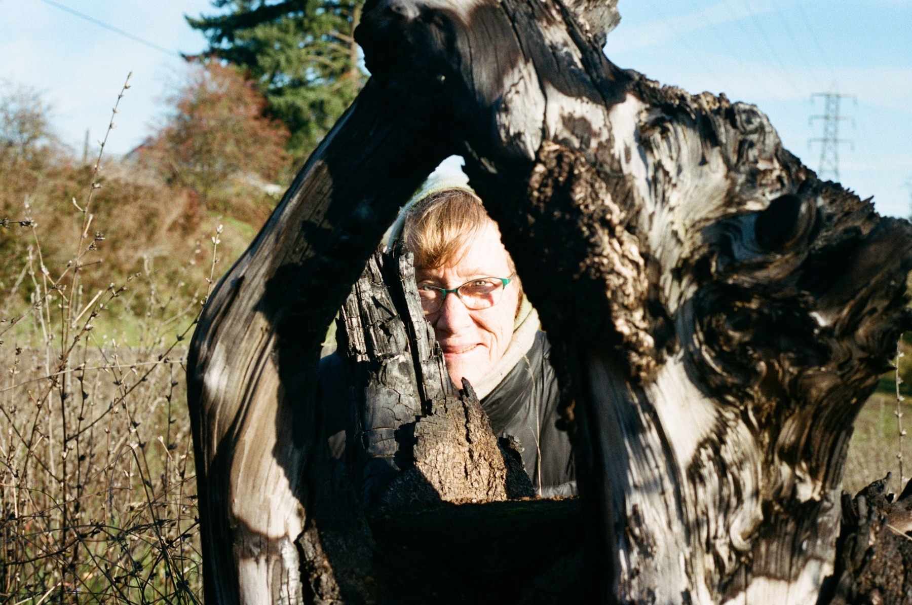 Carolyn Stuart Making Contact Oregon ArtsWatch