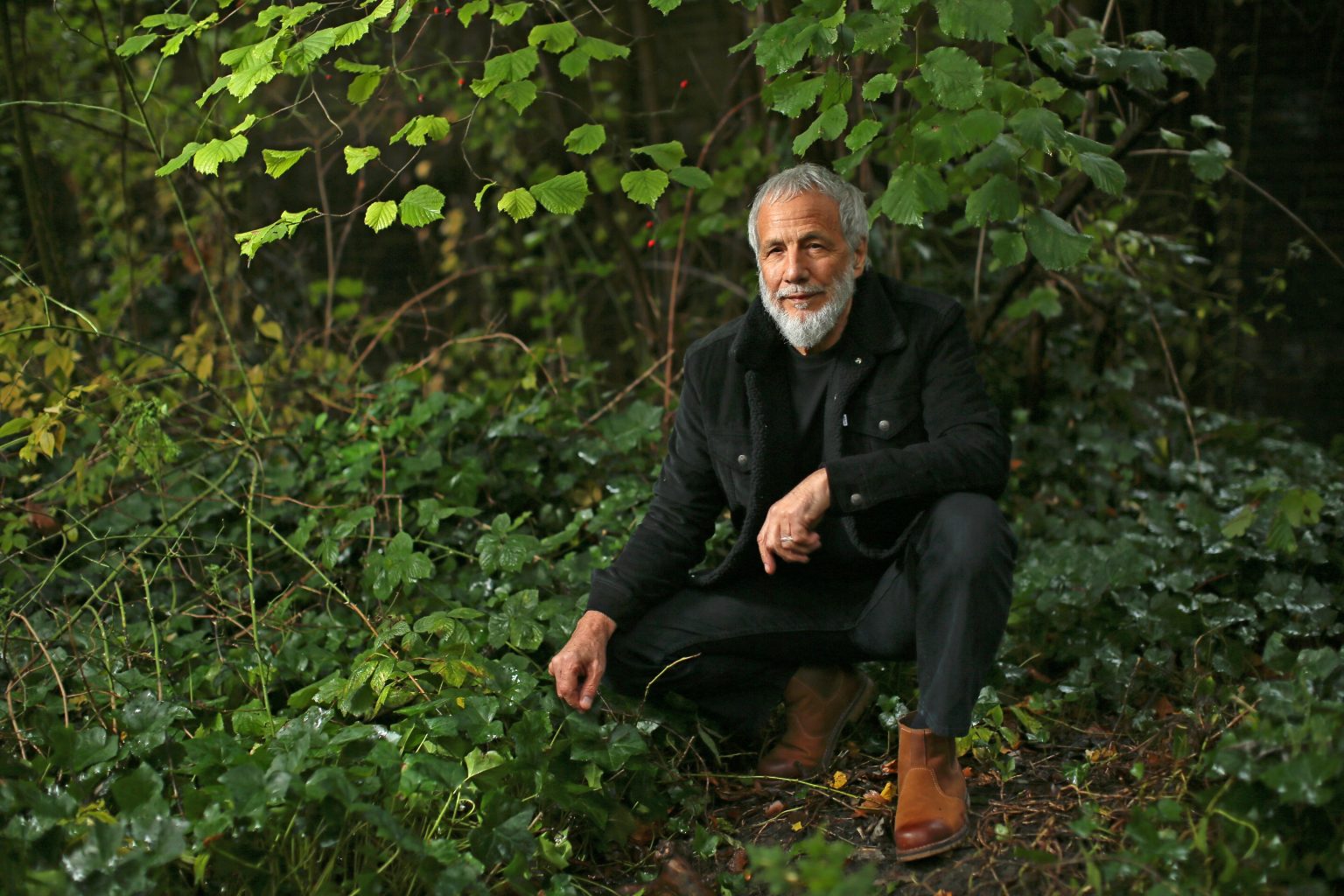 Yusuf / Cat Stevens Announces “Tea For The Tillerman 2