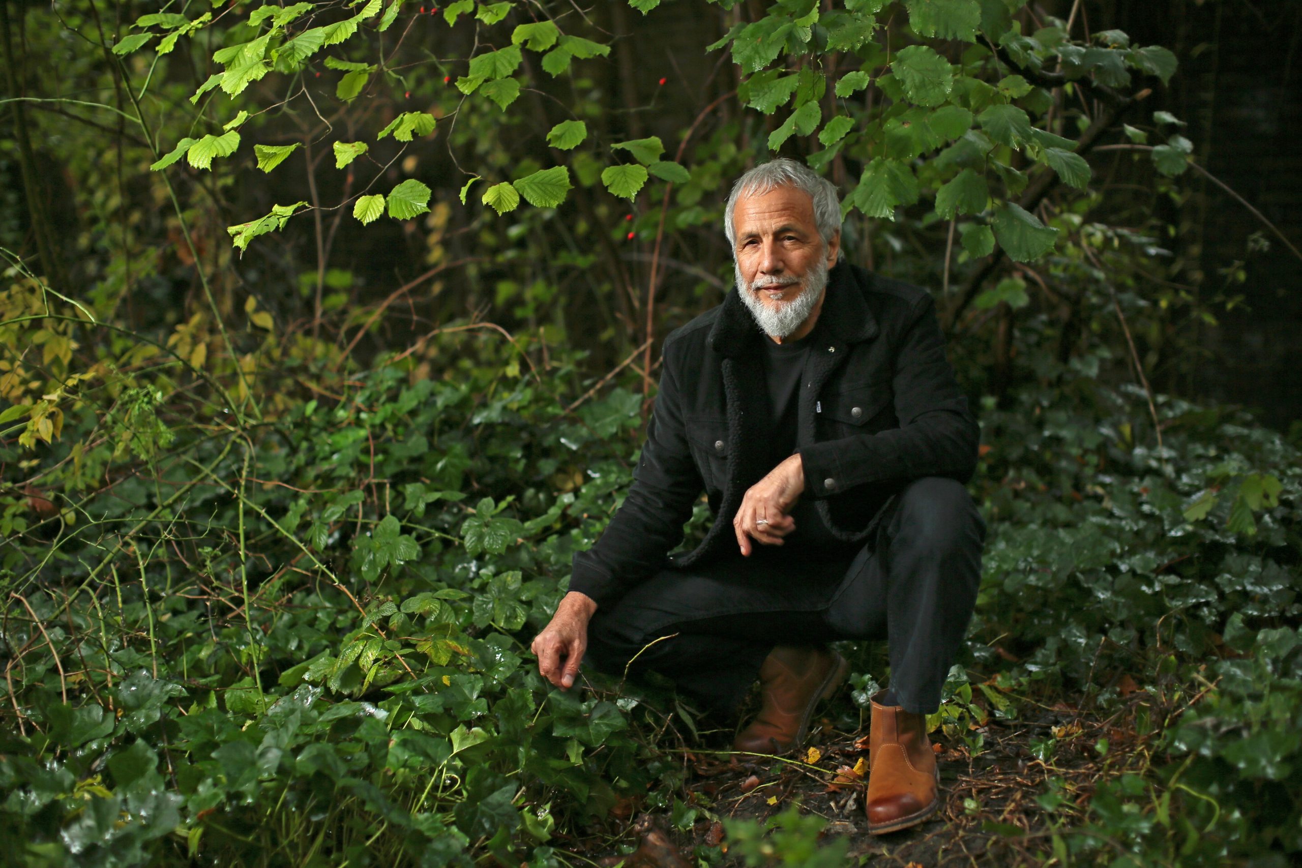 Yusuf / Cat Stevens Announces “Tea For The Tillerman 2