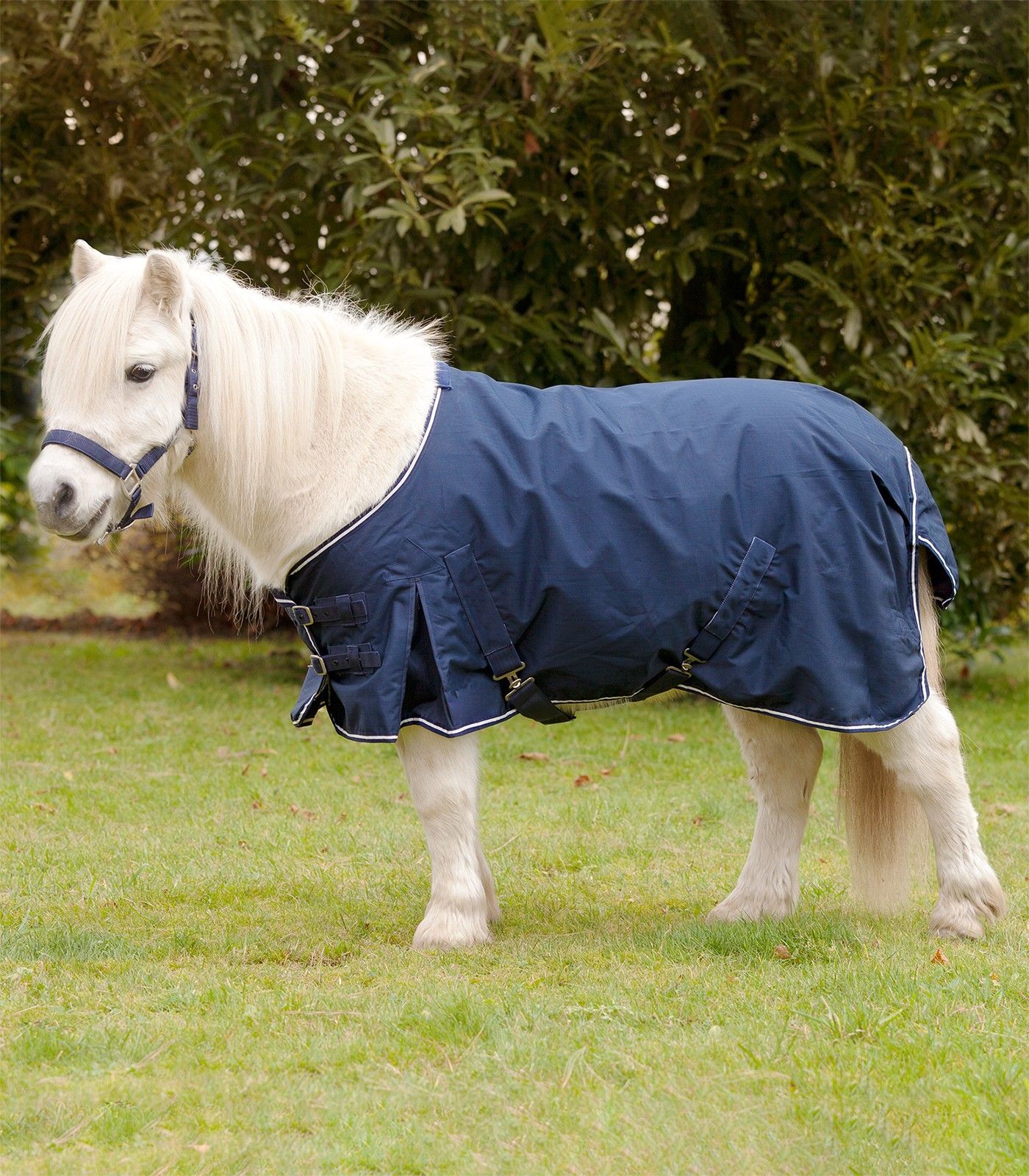 Waldhausen Comfort Shetland Rain Sheet > Horse > Orchard Equestrian Ltd.