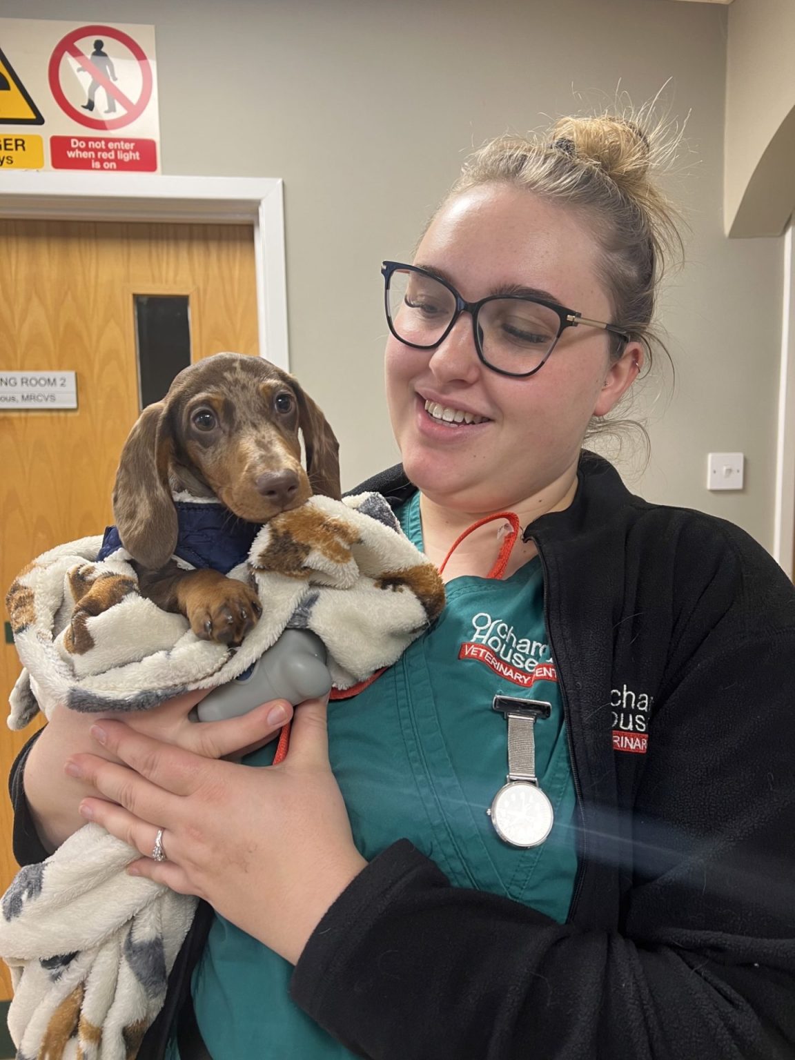 Why vaccinate your pet? Orchard House Vets