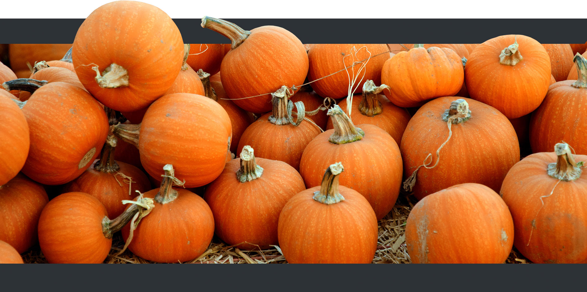 Gallery The Orchards of Concklin