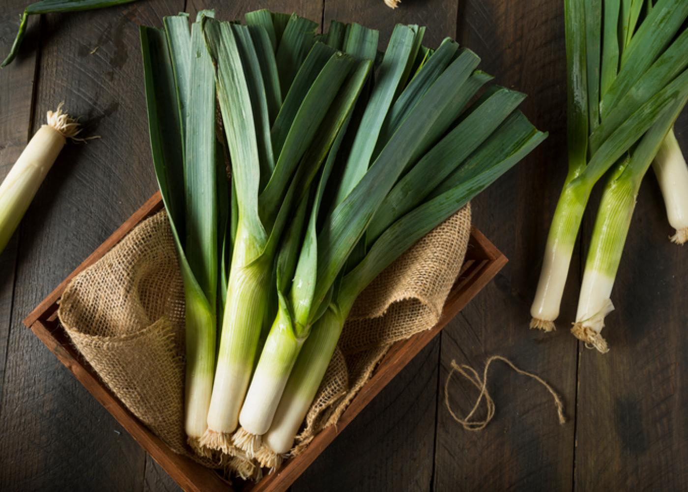Leeks Production in Australia (2020) Orchard Tech