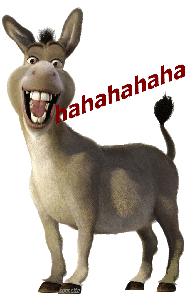 Diaporama photo Humour animal Ordissinaute