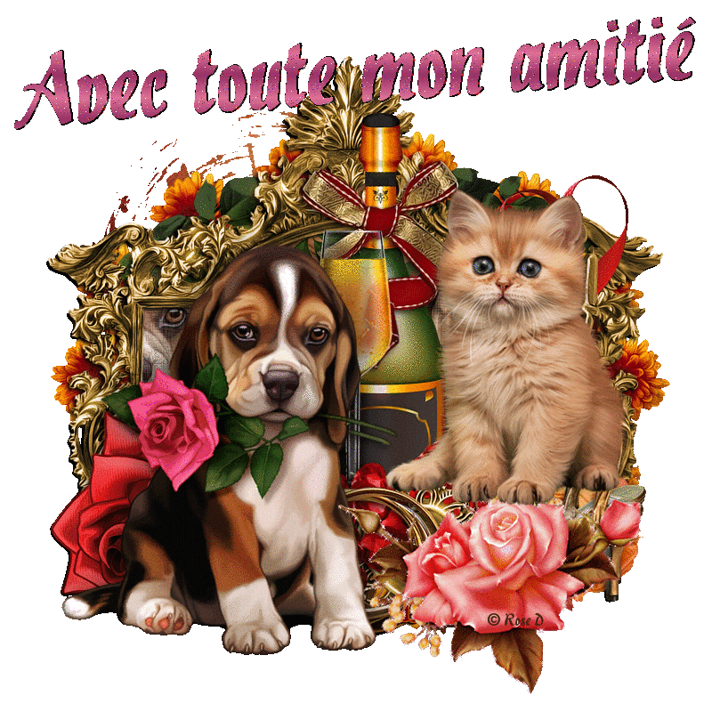 Coucou , Maximes , petits mots , Hello... Forum