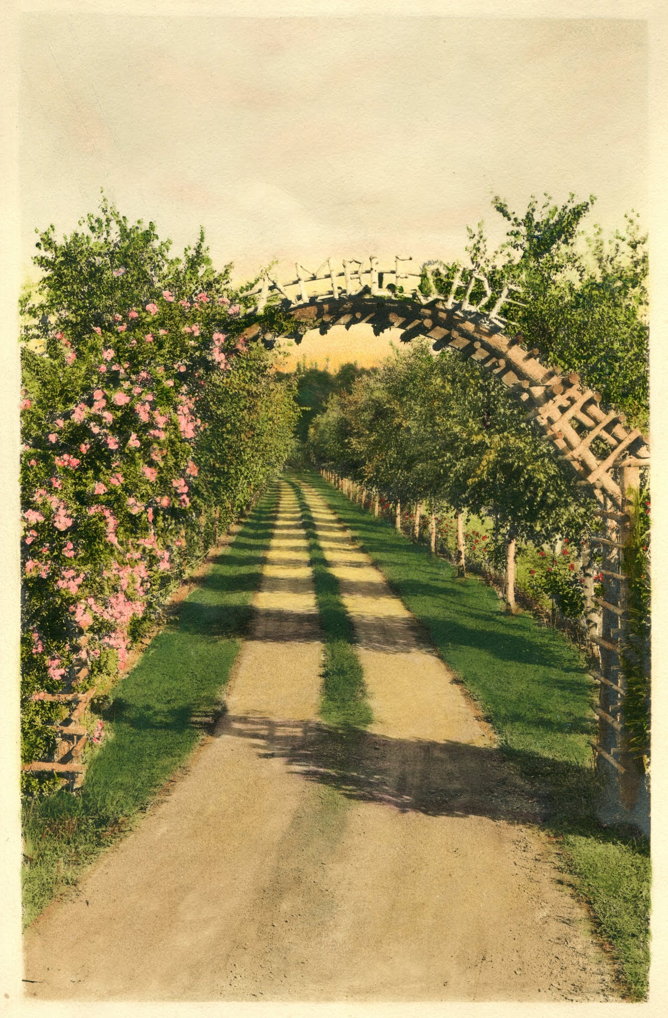 Ambleside Summer Homes Tract