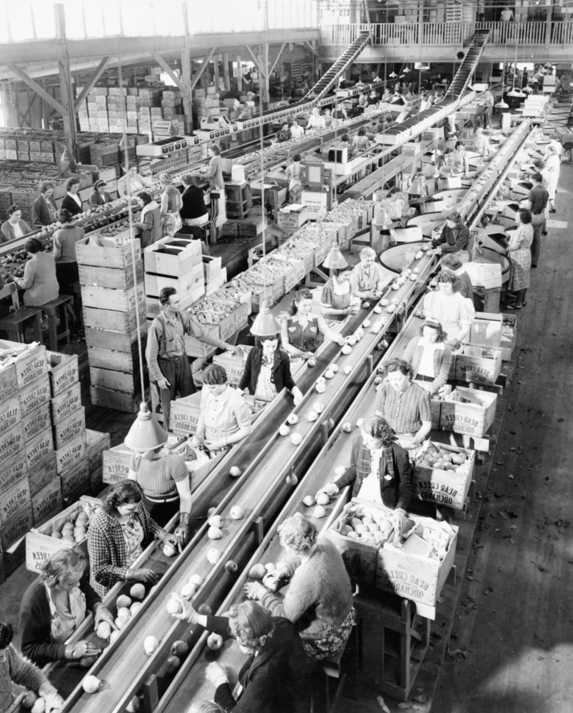 Harry & David/Bear Creek Orchards