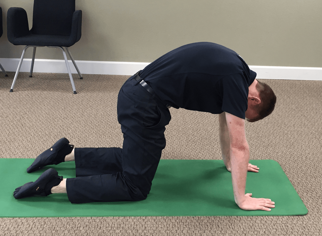 Ecise of the month Cats and Dogs Oregon Exercise Therapy