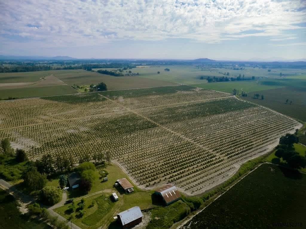 734635 Farm & Ranch Real Estate in Oregon