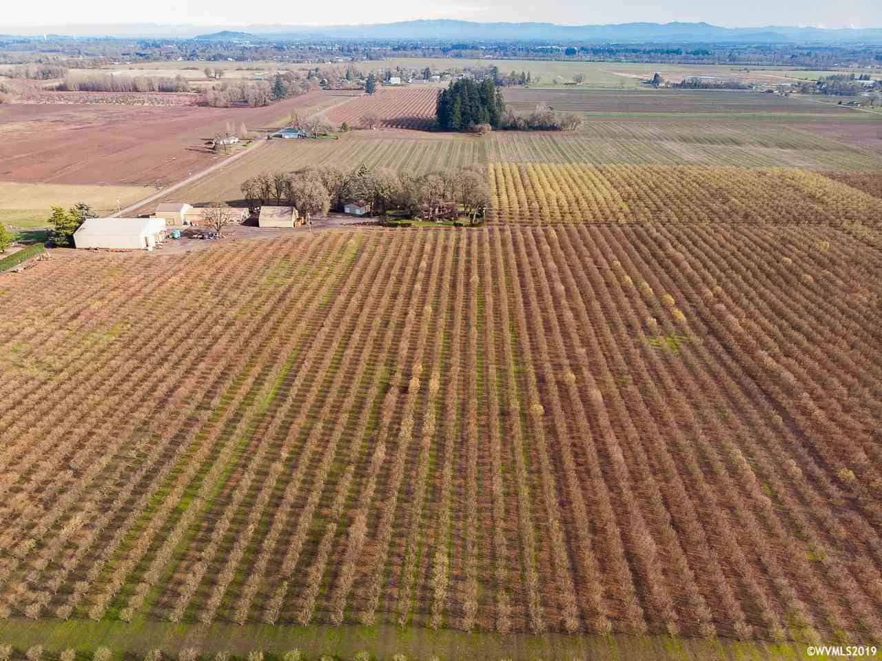 126 Acre Farm With Hazelnut Orchard Steve Helms Farm Real Estate