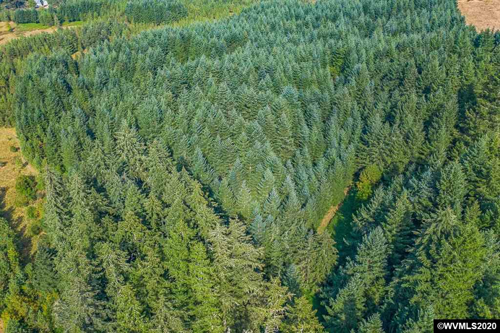 26825 Old Holley Rd, Sweet Home, Oregon Farm & Ranch Real Estate in