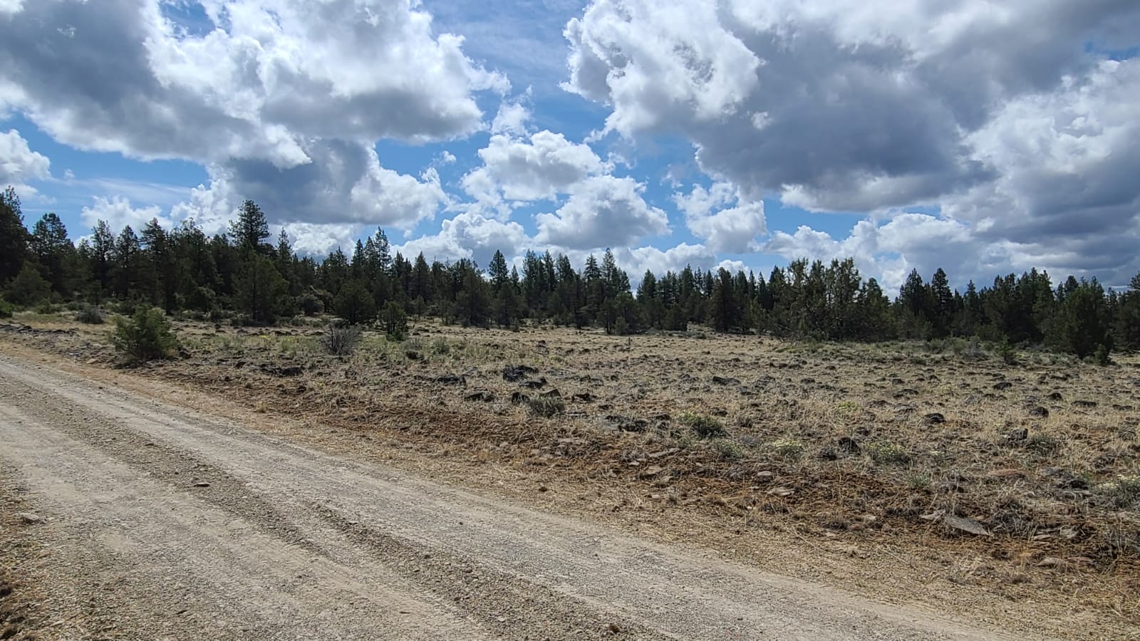 Lot No 24.97 Available