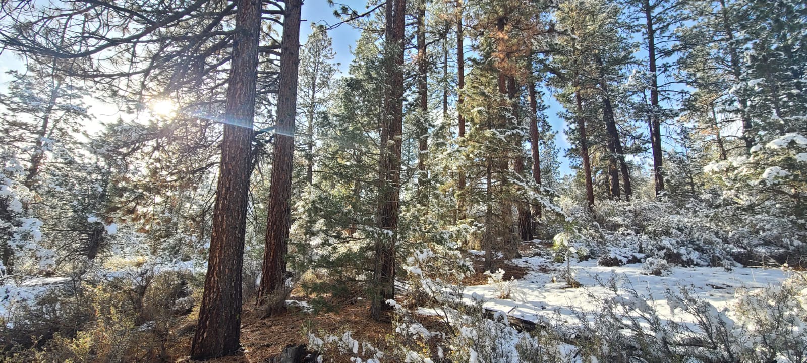 Lot No 2.115 Available