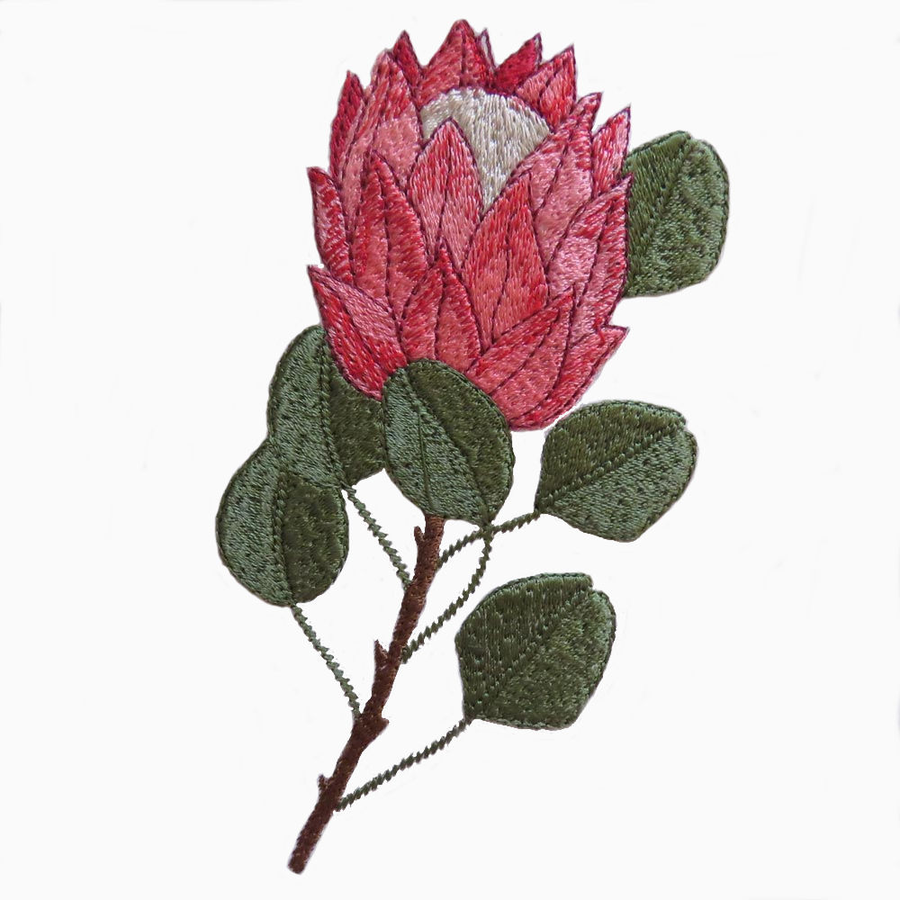 Classic Proteas OregonPatchWorks