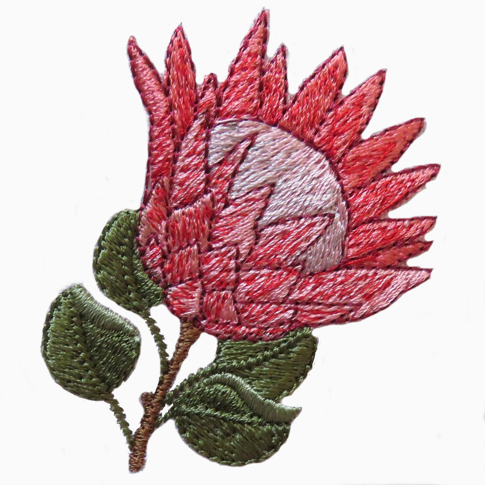 Classic Proteas OregonPatchWorks