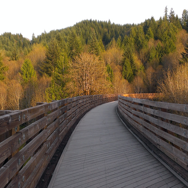 BanksVernonia State Trail • Vernonia • Oregon Runs