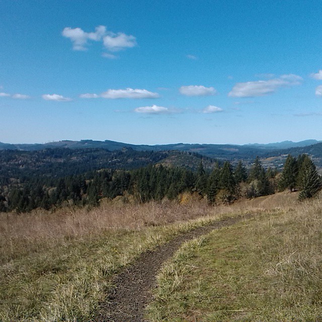 Bald Hill Natural Area • Corvallis • Oregon Runs