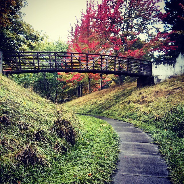 Nelson Park • Salem • Oregon Runs