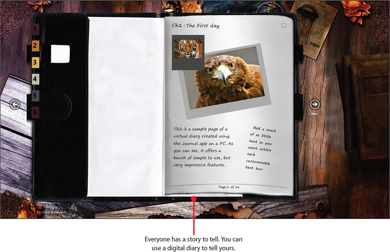 11. Creating a Digital Diary That Tells a Story My Digital Photography for Seniors [Book]