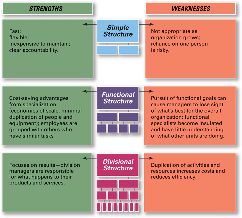 What Are Some Common Organizational Designs? Fundamentals of