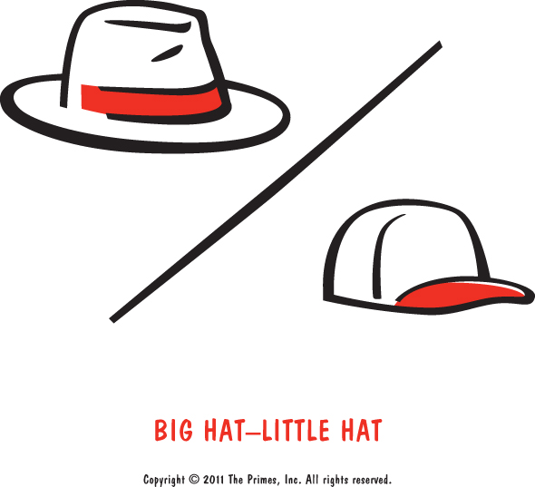 BIG HATLITTLE HAT The Primes How any Group can Solve any Problem [Book]