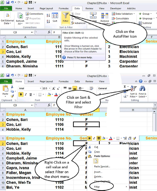 Chapter 22 AutoFilter Next Generation Excel Modeling In Excel For Analysts And MBAs (For MS