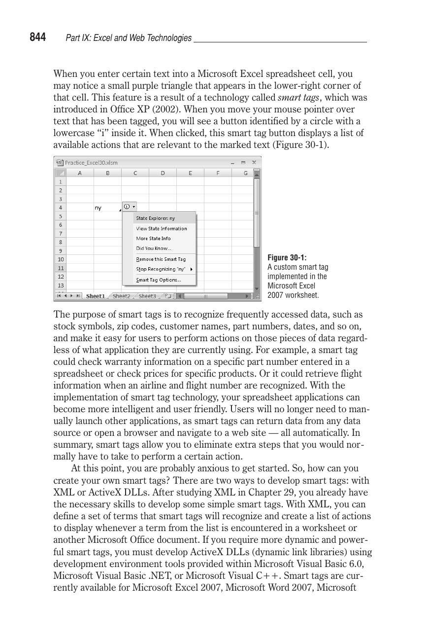 Chapter 30 Using and Programming Smart Tags Excel 2007 VBA