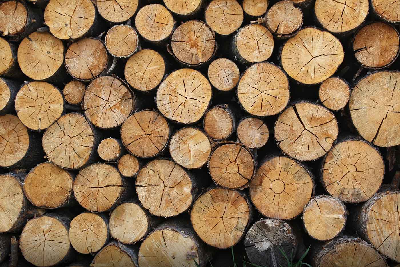 Understanding the ELK stack O’Reilly