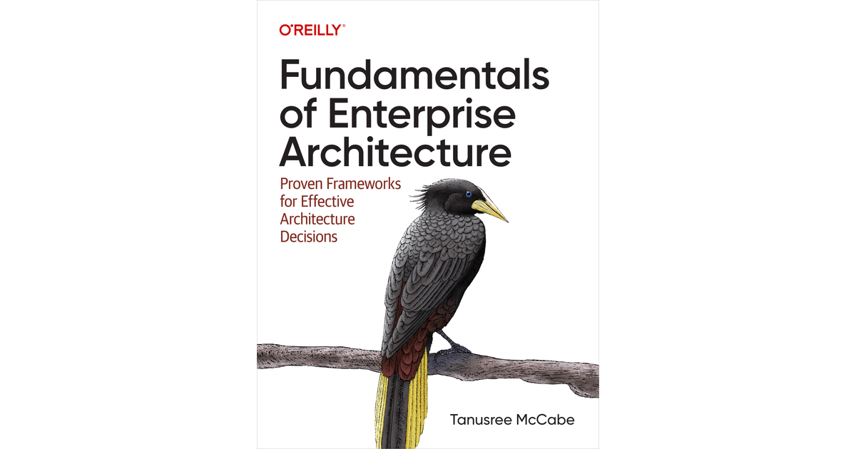 Fundamentals of Enterprise Architecture[Book]