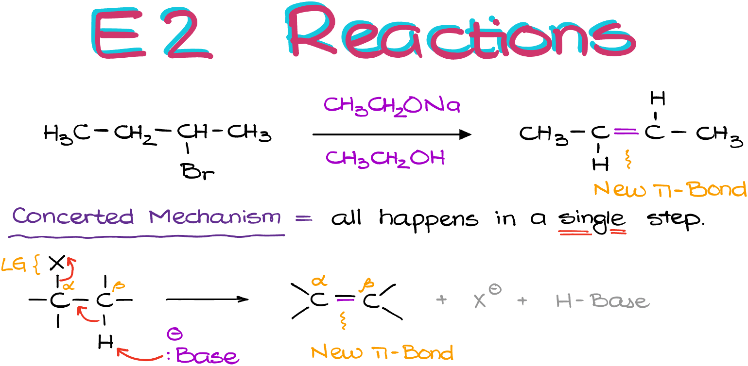 E2 Reactions — Organic Chemistry Tutor