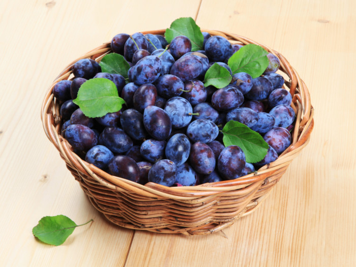 7 Best Benefits of Damson Plums Organic Facts