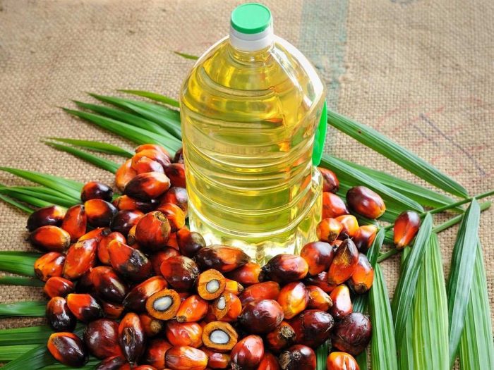5 Amazing Palm Oil Benefits Organic Facts