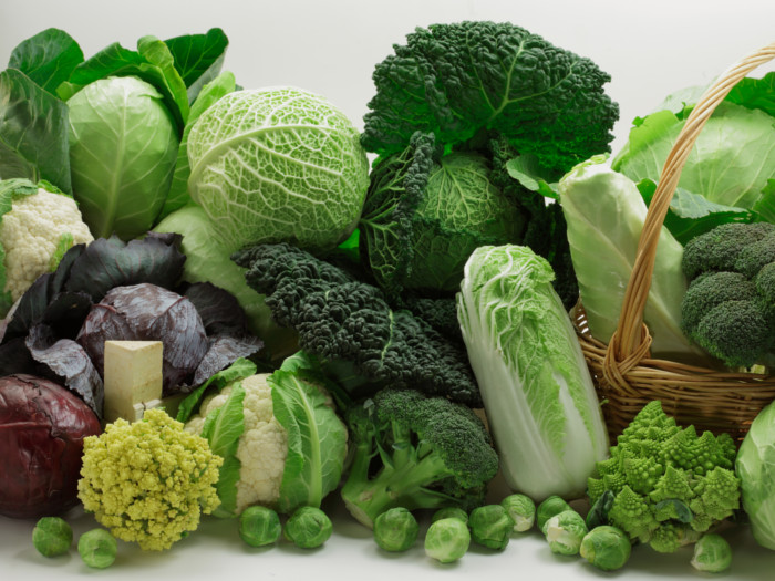 6 Different Types of Cabbage Organic Facts