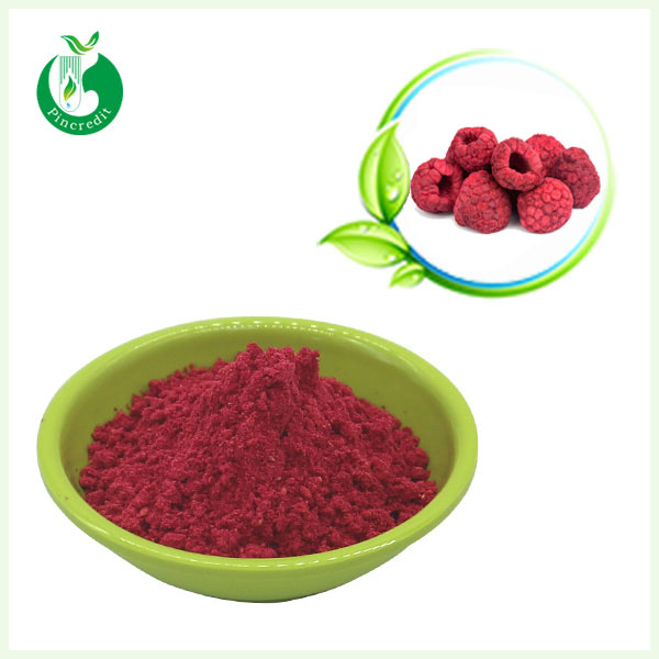 Freeze Dried Fruit Powder Bulk Supplier Pincredit