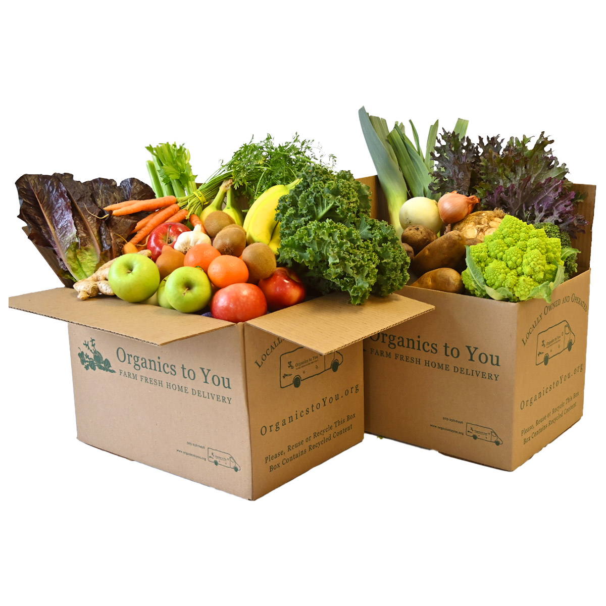 Organics to You Produce Bins