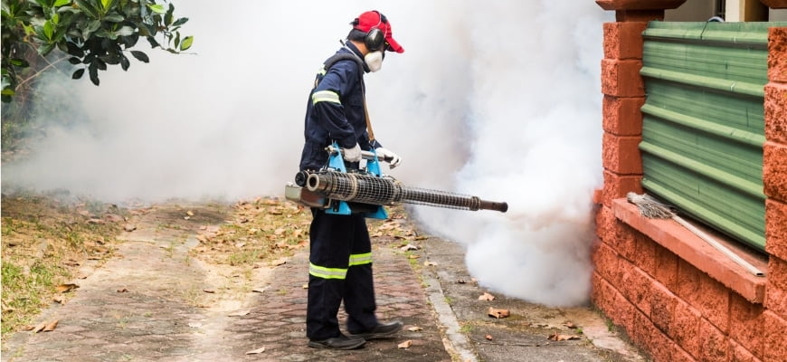 How to Make a Mosquito Fogger? Homemade Mosquito Fogger Solution