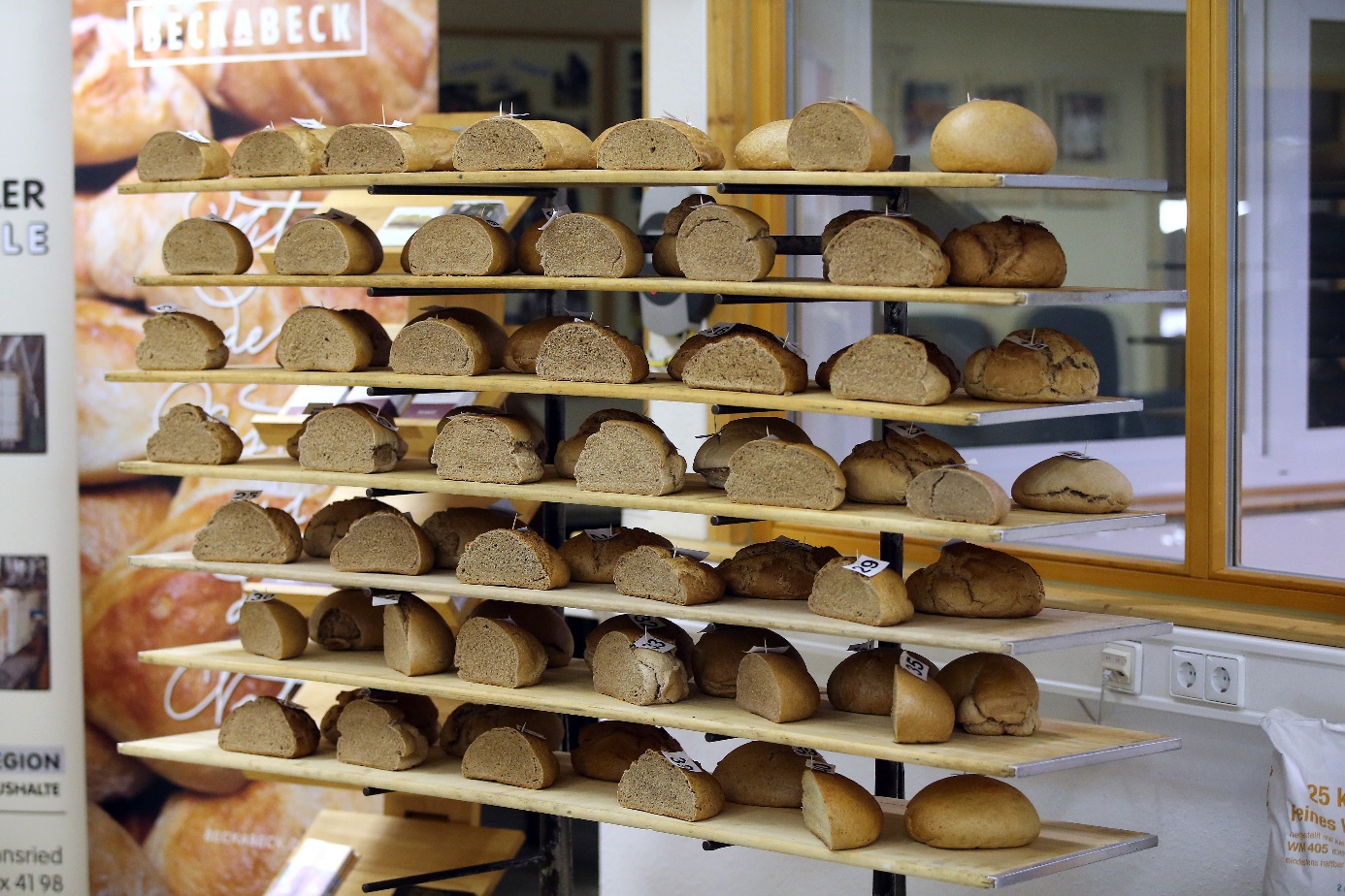 Universität Düsseldorf Plant researchers examine the aroma of bread
