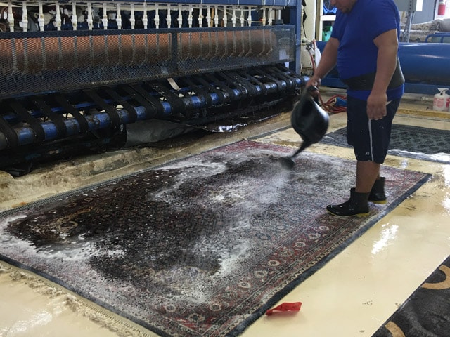 Oriental Rug Cleaners Miramar Unique Rug Cleaners Process, Rug Care